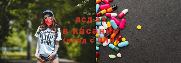 дурь Ельня
