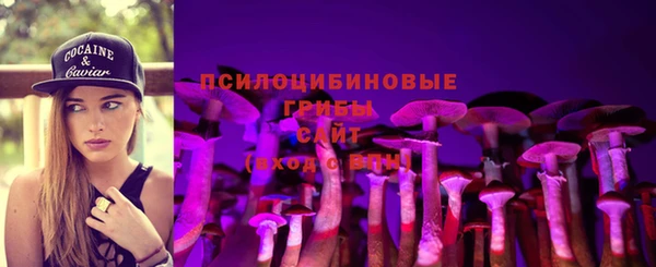 дурь Ельня