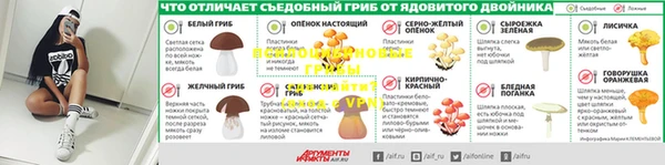 дурь Ельня