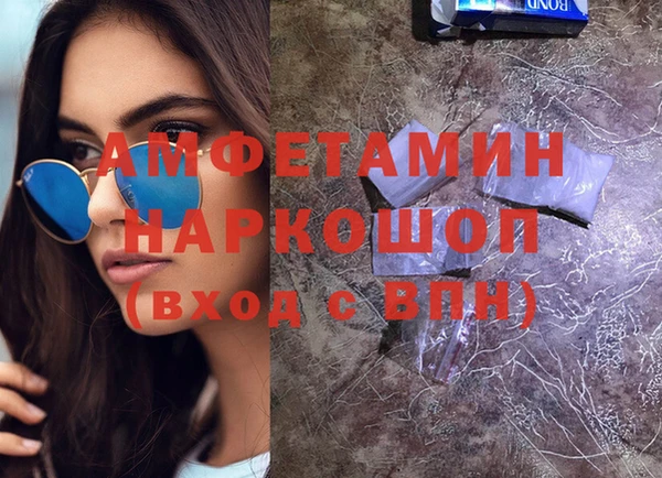 дурь Ельня