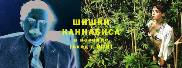 дурь Ельня