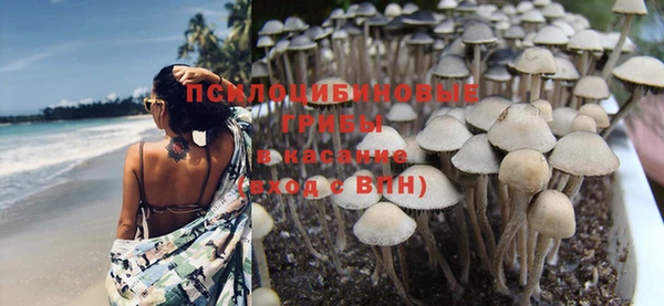 синтетический гашиш Елабуга